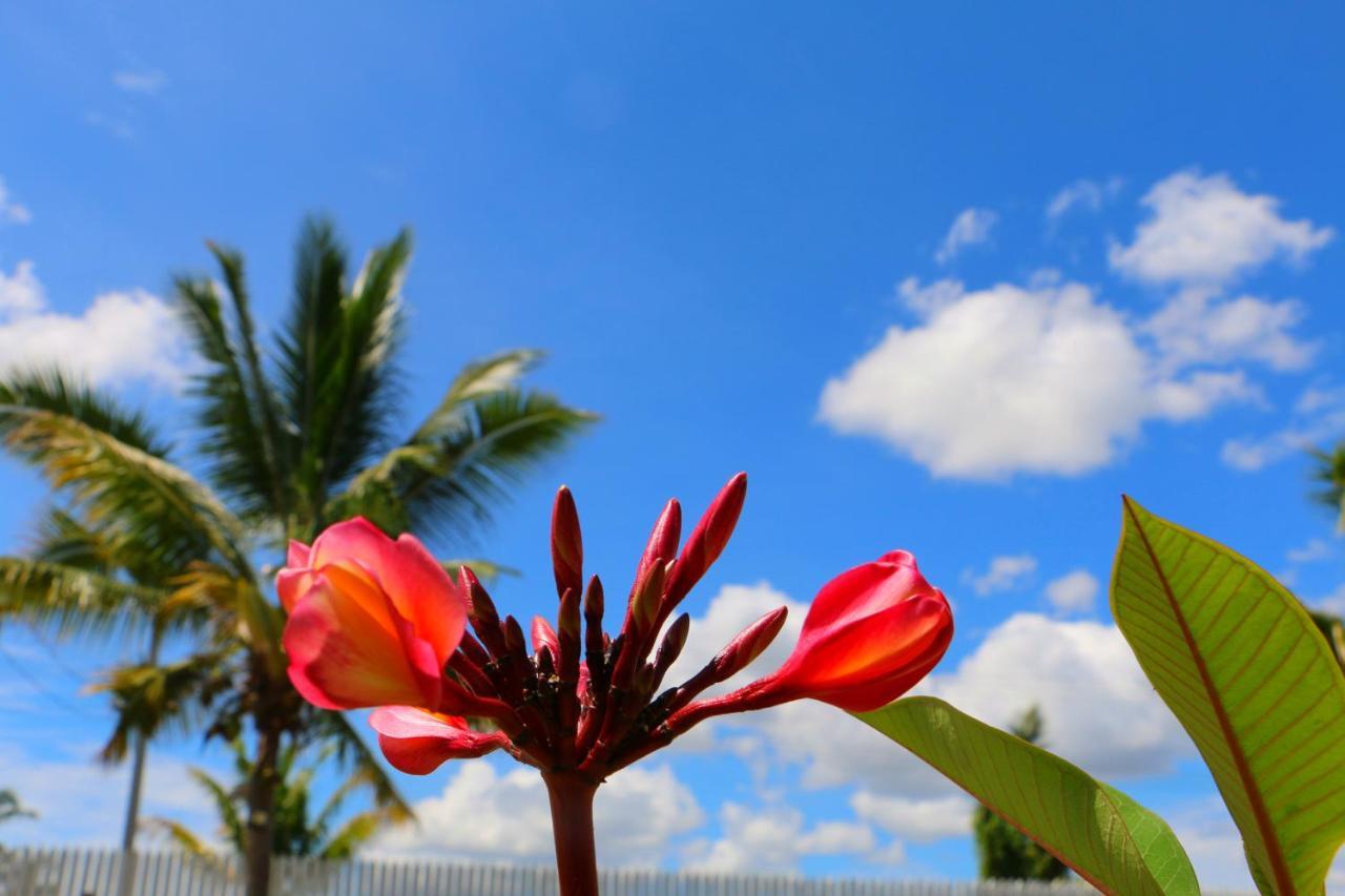 Nadi Fancy Hotel Exterior foto